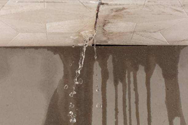 Professional Sewage Cleanup technician working in Sheridan, IN